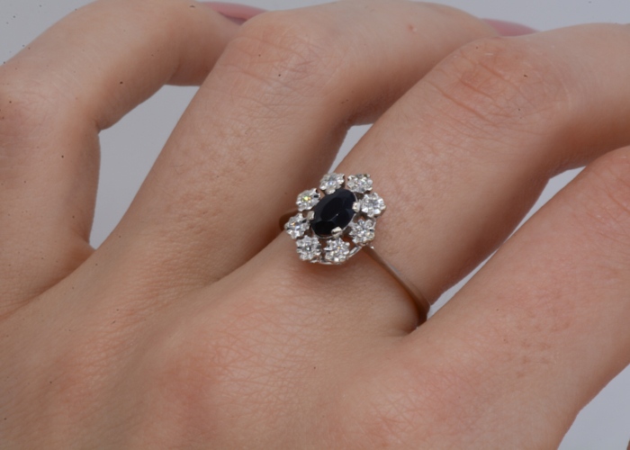 Marguerite Saphir et Diamants étoilés. – Image 6